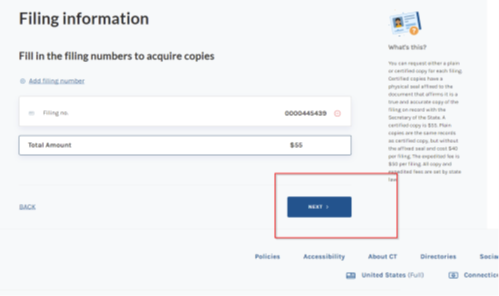 Location of the "Next" button on the Filing Information screen.