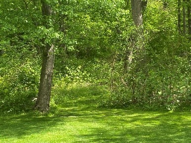 Picture from Fulton Park