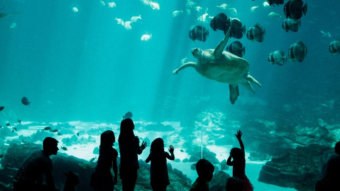 Aquarium image